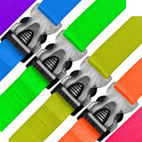 Edge Luggage Straps Coloured